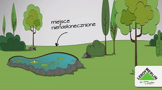 Właściwe miejsce