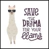 Obraz DECO BOX SAVE THE DRAMA 30 x 30 cm KNOR