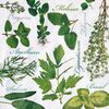 Serwetki HERBAL TASTE 33 x 33 cm 20 szt.
