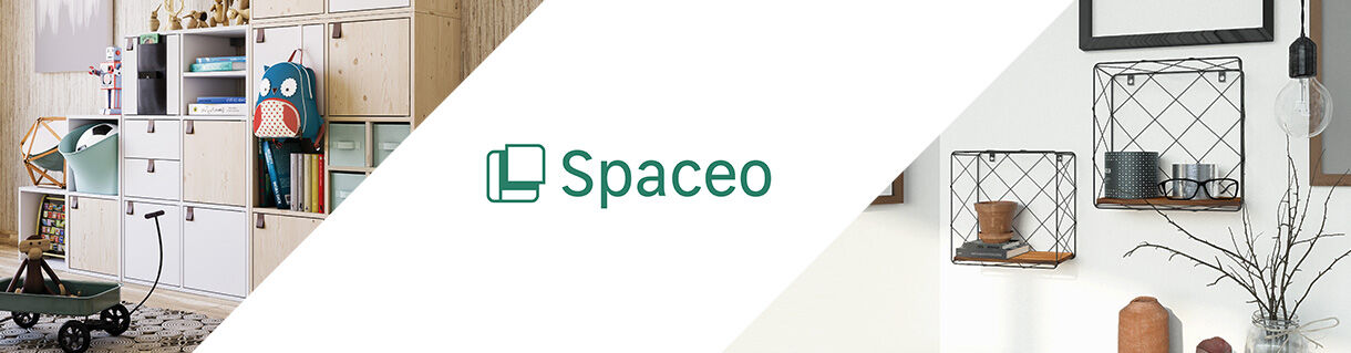spaceo-top-logo-rwd