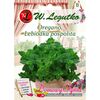 Oregano (Lebiodka pospolita) W. LEGUTKO