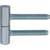 Zawias do drzwi wkręcany 13.5 x 60 mm Biały 2 szt.