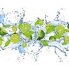 Fototapeta LIMONKI 104 x 152 cm