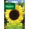 Słonecznik zwyczajny LEMON QUEEN nasiona tradycyjne 0.5 g VILMORIN