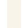Glazura DELICE WHITE 22.3 X 44.8 ARTE
