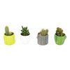 Kaktus w ceramice MIX 8 cm