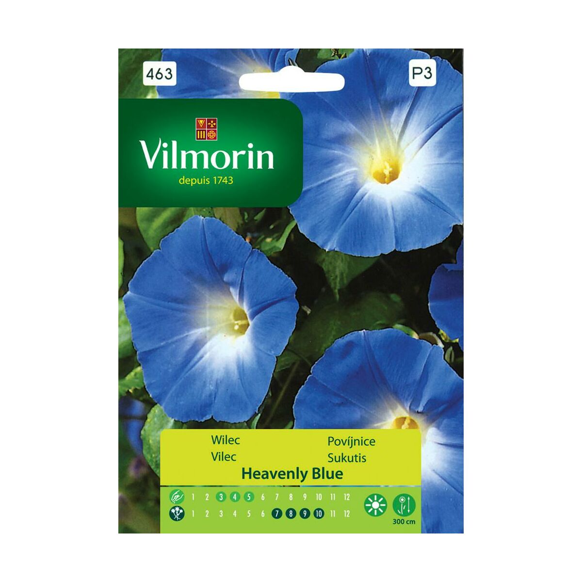 Wilec Ipomoea Heavenly Blue nasiona tradycyjne Vilmorin