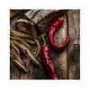 Obraz szklany GLASSPIK PEPPERS 20 x 20 cm STYLER
