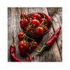 Obraz szklany GLASSPIK PEPPERS 20 x 20 cm STYLER