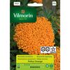Aksamitka wzniesiona POLLUX ORANGE VILMORIN