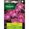 Wilec RED PICOTEE nasiona tradycyjne 7 g VILMORIN