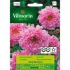 Kosmos ROSE BONBON nasiona tradycyjne 0.5 g VILMORIN