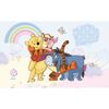 Fototapeta KUBUŚ PUCHATEK 104 x 152 cm DISNEY