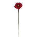 Kwiat GERBERA 60 cm