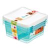 Zestaw pojemników Arctic line 3 x 0.85 l Orplast