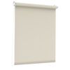 Roleta okienna Albery kremowa 37 x 160 cm Inspire