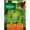 Sałata głowiasta krucha BALMORAL nasiona tradycyjne 0.2 g VILMORIN