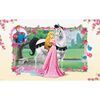 Fototapeta KSIĘŻNICZKI II 254 x 368 cm DISNEY
