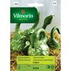 Nasiona warzyw COBRA Dynia ozdobna VILMORIN