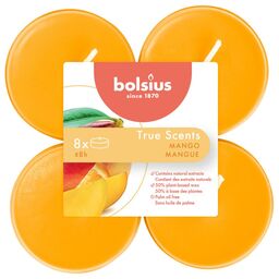 Podgrzewacz zapachowy maxi True Scents mango 8 szt. Bolsius