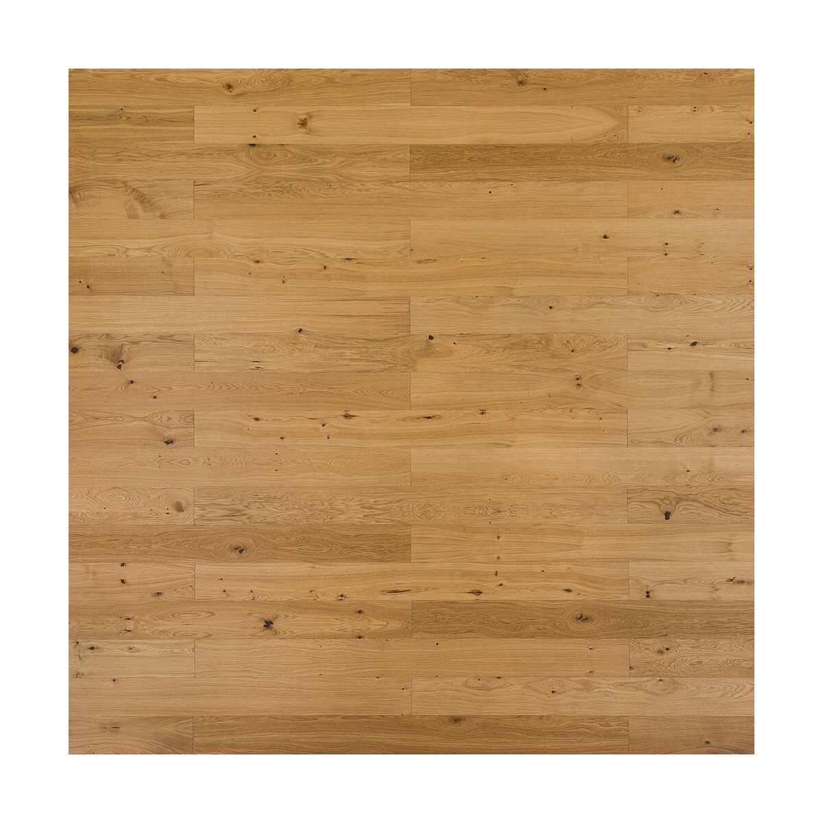 Podłoga drewniana deska fornirowana Dąb Sęczny 1-lamelowa lakier mat 8.5 mm Carpathia