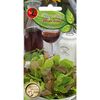 Sałata MIESZANKA ODMIAN nasiona tradycyjne 1.5 g W. LEGUTKO