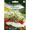 Mieszanka PIKANTNA nasiona na kiełki 30 g W. LEGUTKO