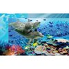 Fototapeta DOLPHIN 254 x 184 cm