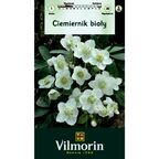 Ciemiernik NIGER 1szt. VILMORIN