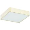 Plafon łazienkowy ATLANTIS IP44 35 x 35 cm biało-złoty LED PREZENT