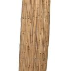 Mata trzcinowa 6 m x 200 cm