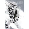 Plakat STAR WARS EPISODE 7 STORM 61 x 91.5 cm