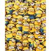Plakat DESPICABLE ME 61 x 91.5 cm