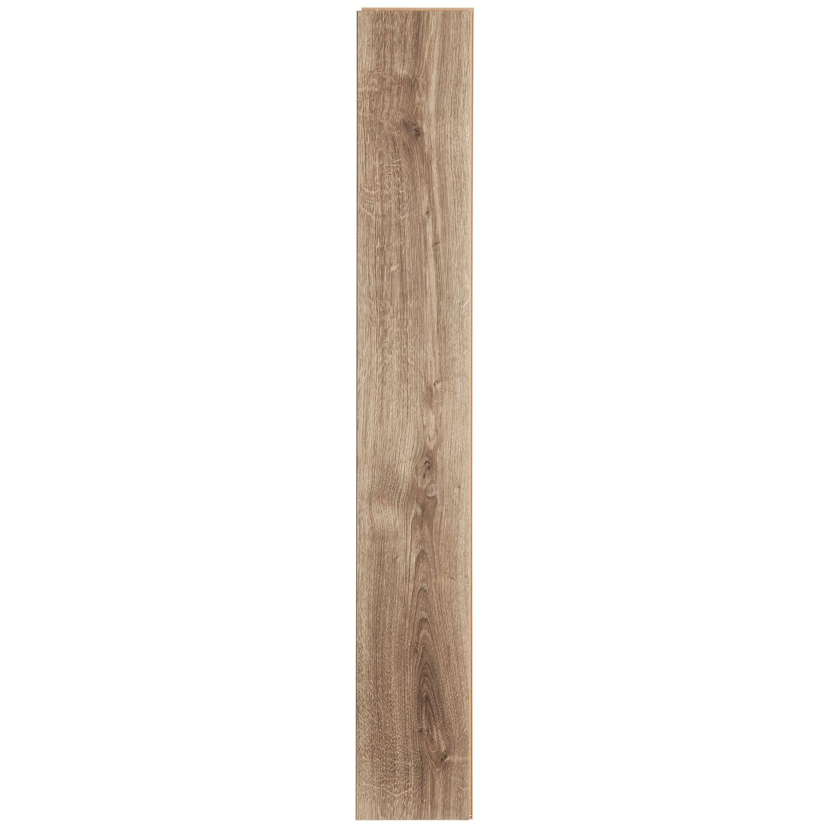 Panele podłogowe laminowane Dąb Hektor AC5 8 mm