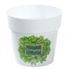 Doniczka plastikowa 12 cm biała ZIOŁA3 oregano PROSPERPLAST