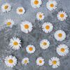 Serwetki Daisies love 33 x 33 cm 20 szt.
