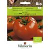 Pomidor szklarniowy ACE 55 VF BIO nasiona ekologiczne 0.5 g VILMORIN
