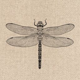 Serwetki eko Dragonfly 33 x 33 cm 20 szt.