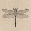 Serwetki WE CARE DRAGONFLY 33 x 33 cm 20 szt.
