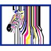 Obraz ZEBRA 53 x 43 cm KNOR