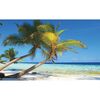 Fototapeta PLAŻA 104 x 152 cm
