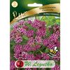 Trojeść krwista CINDERELLA nasiona tradycyjne 0.3 g W. LEGUTKO