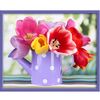 Obraz Tulipany w konewce 50 x 40 cm