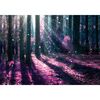 Obraz ARTLIGHT 100 x 70 cm
