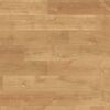 Panel podłogowy laminowany SANDWOOD AC5 8 mm ERGO FLOOR