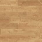 Panele podłogowe SANDWOOD AC5 8 mm Laminowane ERGO FLOOR