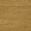 Panel podłogowy laminowany DĄB ROBINSON AC5 12 mm ERGO FLOOR