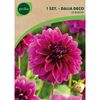 Dalia pomponowa LE BARON 1 szt. GEOLIA