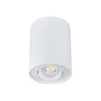 Oprawa stropowa natynkowa BORD DLP-250-W biała GU10 KANLUX