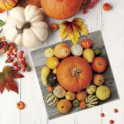 Serwetka Pumpkin Composition 33 x 33 cm 20 szt.